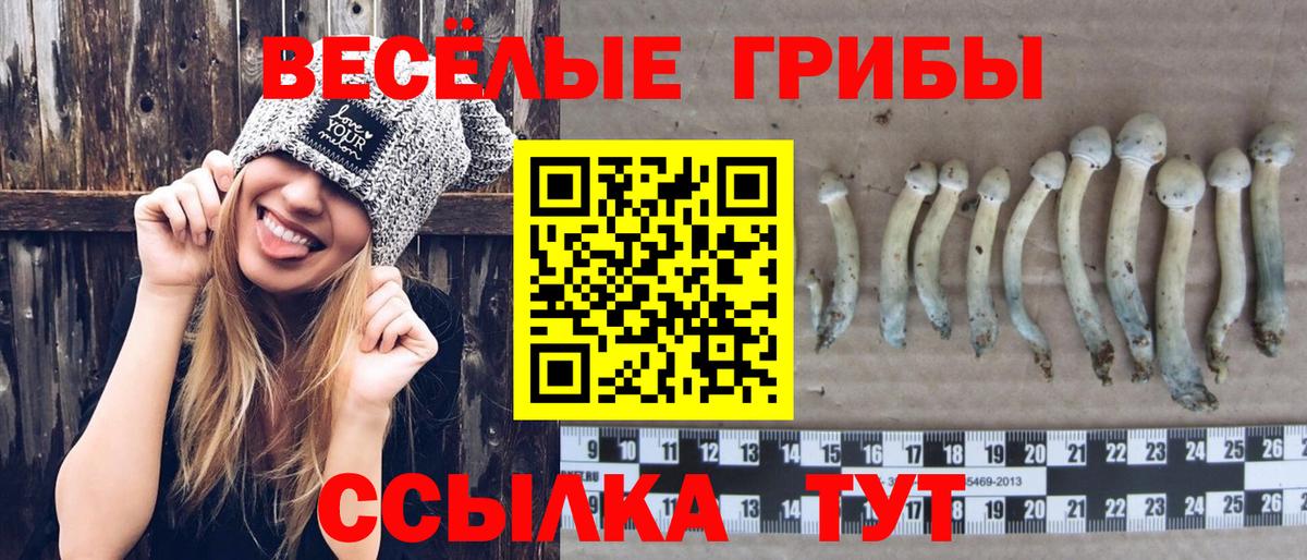 Галлюциногенные грибы Psilocybe  Вход с VPN  Псилоцибиновые грибы MAGIC MUSHROOMS  Батайск 