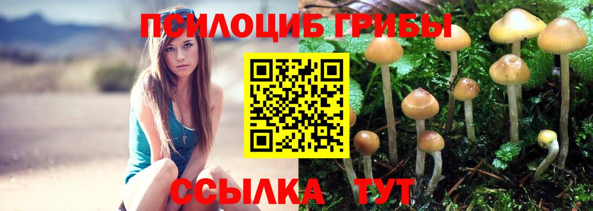Галлюциногенные грибы мухоморы Батайск